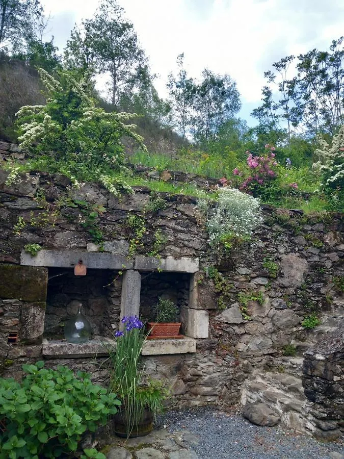 Hotel Les Cèdres Bleus de Joany à Viviez Maison d'hôtes