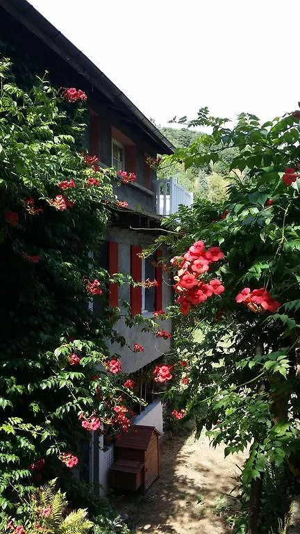 Hotel Cedres Bleus De Joany Chez Nathalie Viviez Gasthof