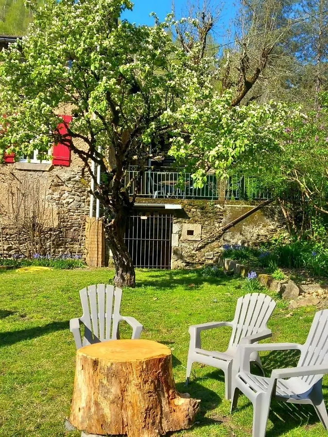 Hotel Les Cedres Bleus De Joany Viviez 0*,